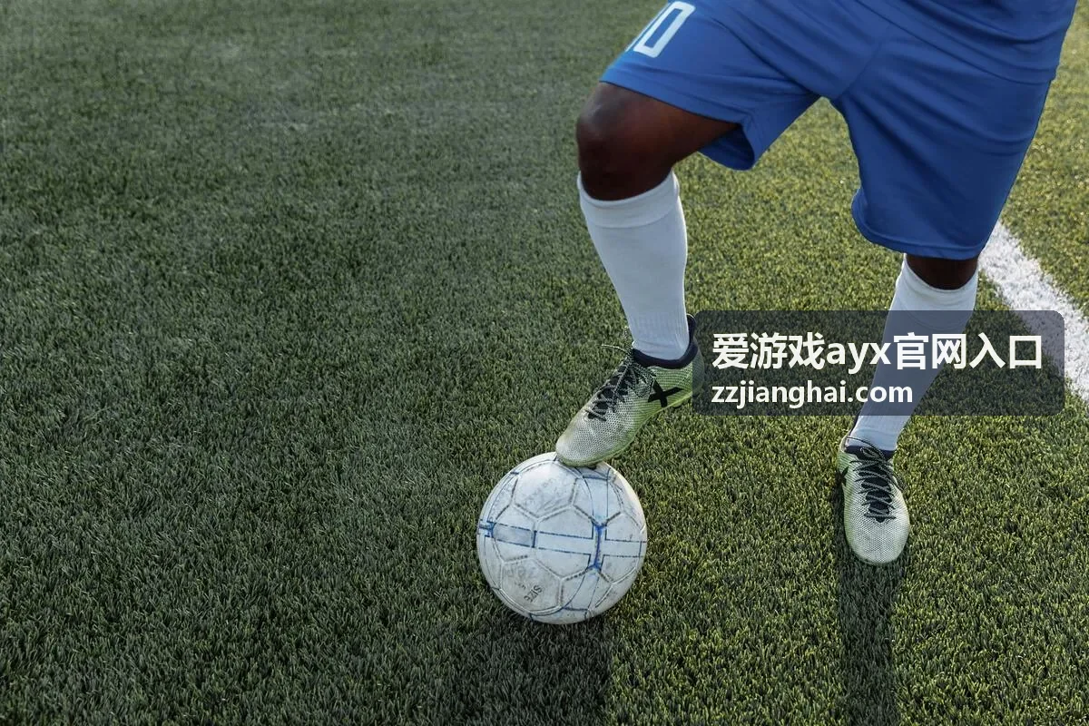 爱游戏ayx官网入口版本玩法速查专题封面